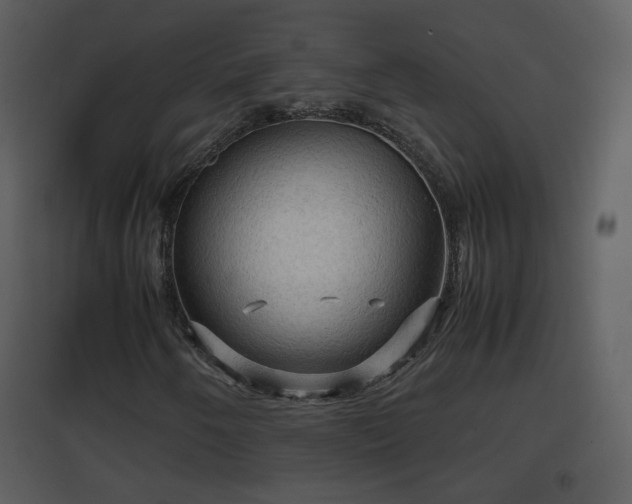 X0000096701250200802121155