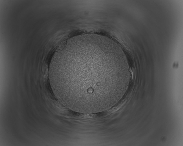 X0000096701251200802121155