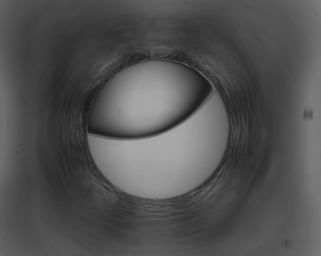 X0000096701252200802121155
