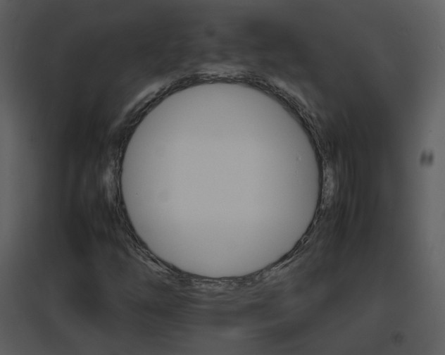 X0000096701254200802121155