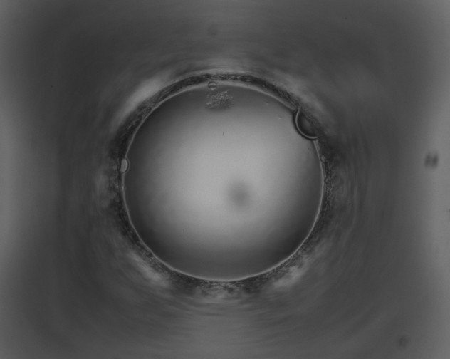 X0000096701255200802121155
