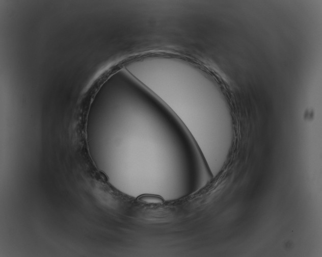 X0000096701256200802121155