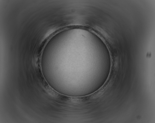 X0000096701258200802121155