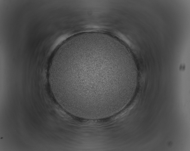 X0000096701259200802121155