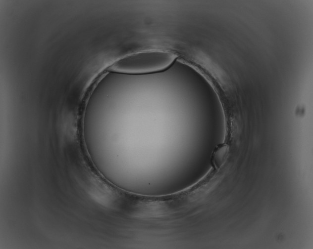 X0000096701260200802121155