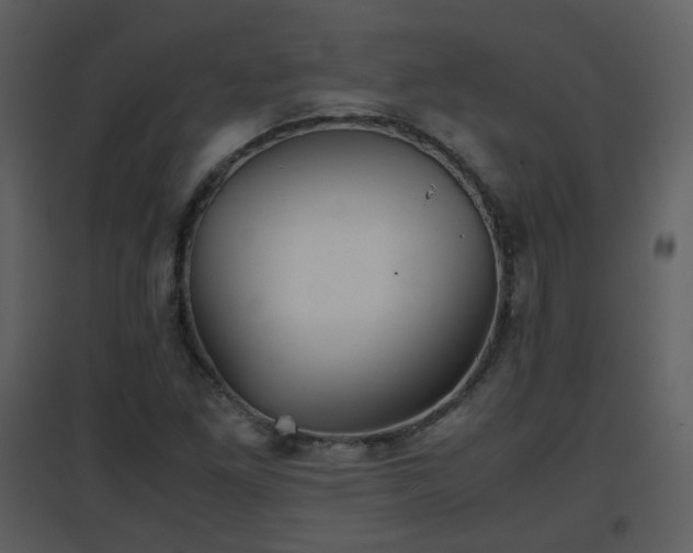 X0000096701261200802121155
