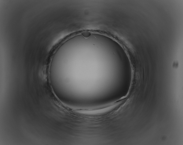X0000096701262200802121155