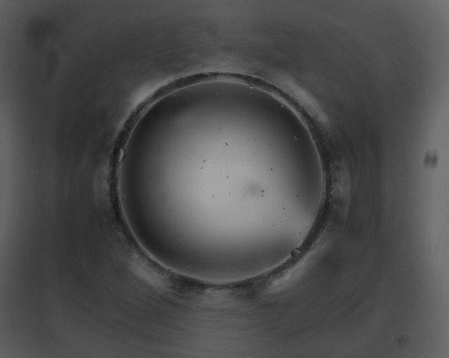 X0000096701264200802121154