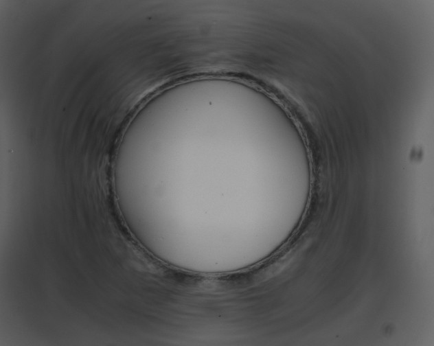X0000096701265200802121154