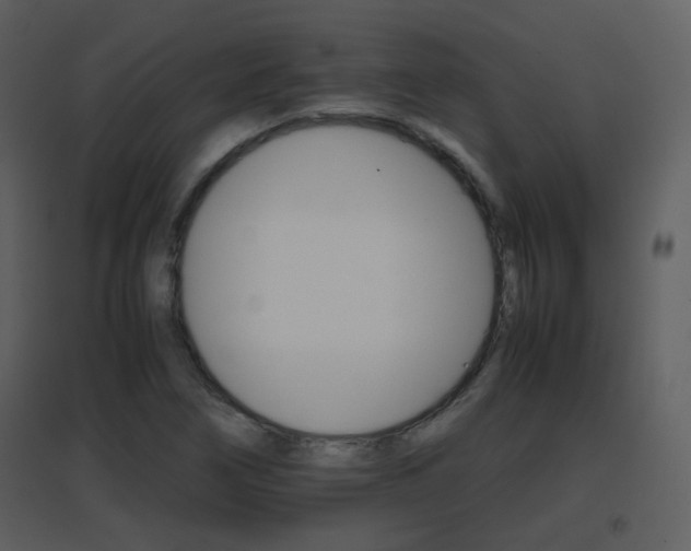 X0000096701266200802121154