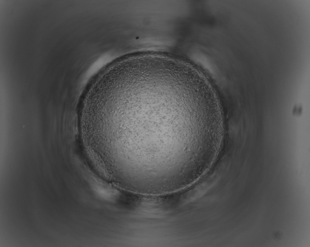 X0000096701267200802121154