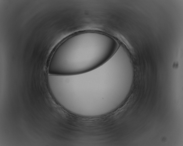 X0000096701268200802121154