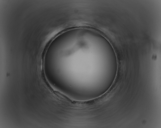 X0000096701269200802121154