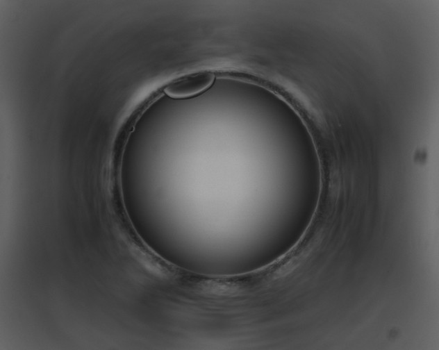 X0000096701270200802121154