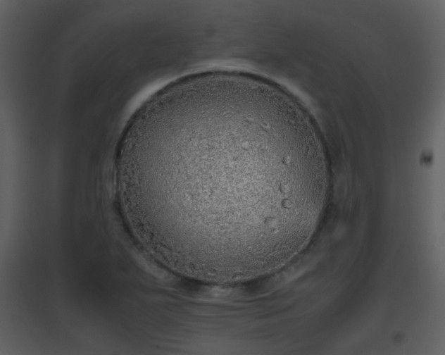 X0000096701271200802121154