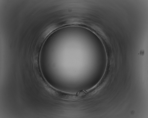 X0000096701273200802121154