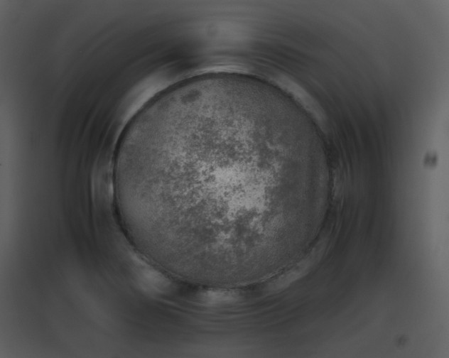 X0000096701274200802121154