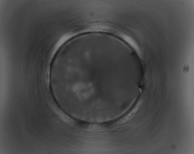 X0000096701275200802121154
