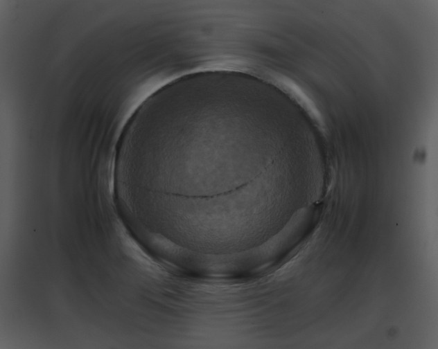 X0000096701276200802121154