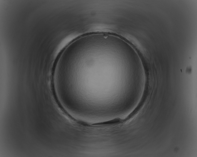 X0000096701277200802121154