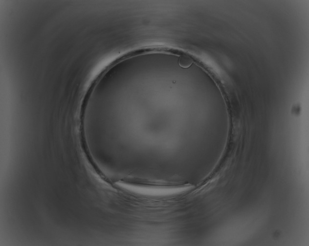 X0000096701279200802121154