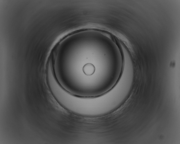X0000096701280200802121154