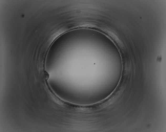 X0000096701281200802121154