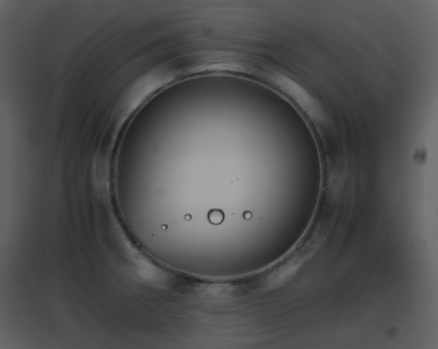 X0000096701282200802121154