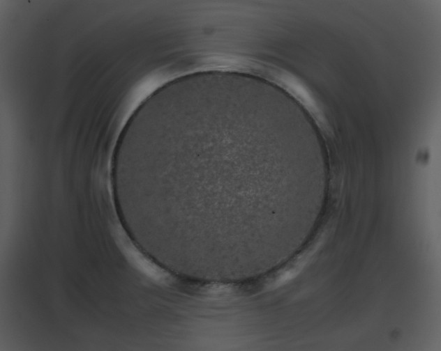 X0000096701283200802121154