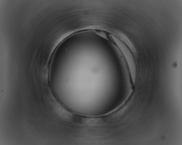 X0000096701284200802121154