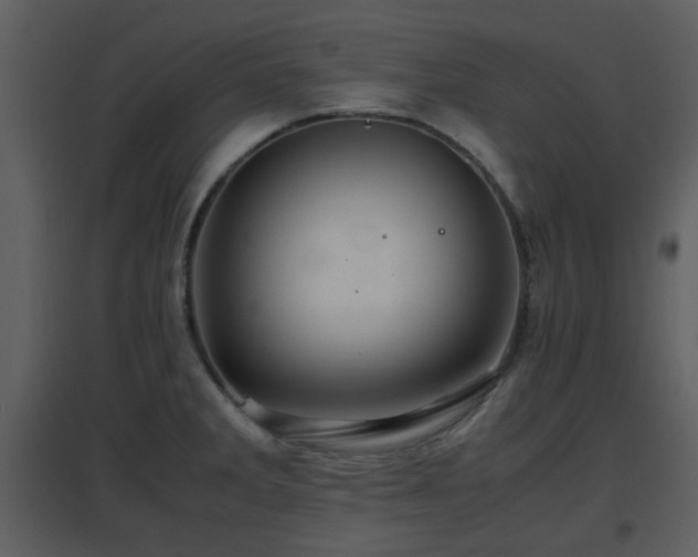 X0000096701285200802121154