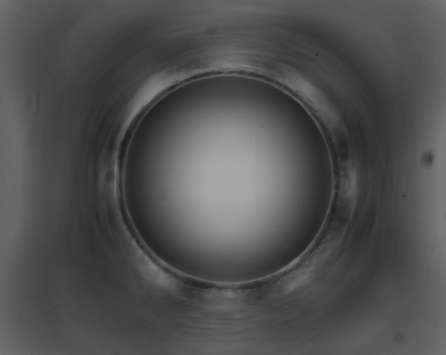 X0000096701286200802121154