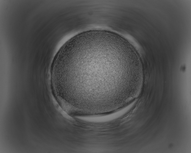 X0000096701287200802121154