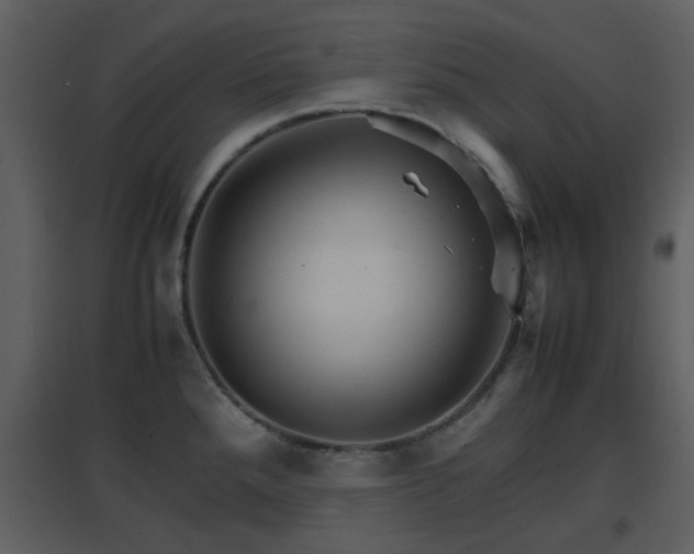 X0000096701288200802121154