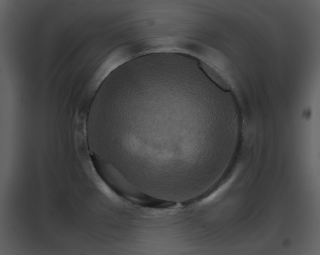 X0000096701289200802121154