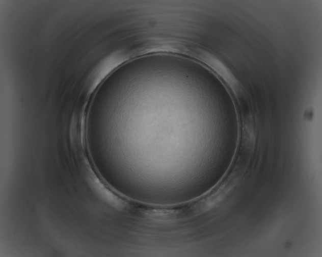 X0000096701290200802121154