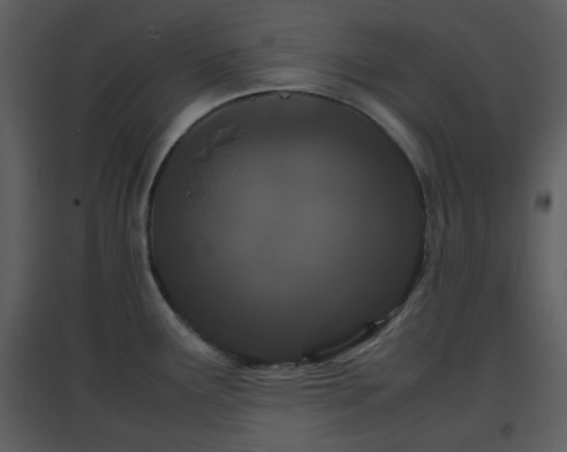 X0000096701291200802121154