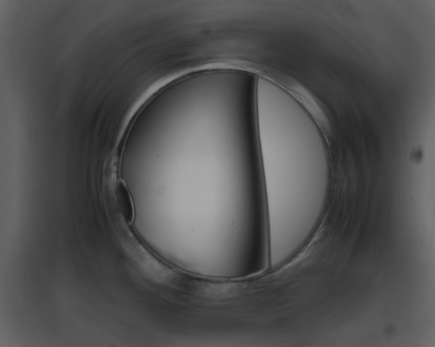 X0000096701292200802121154