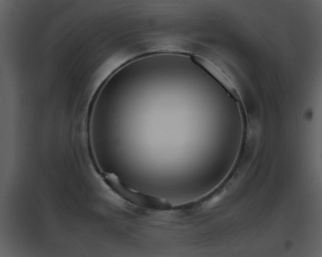 X0000096701293200802121154