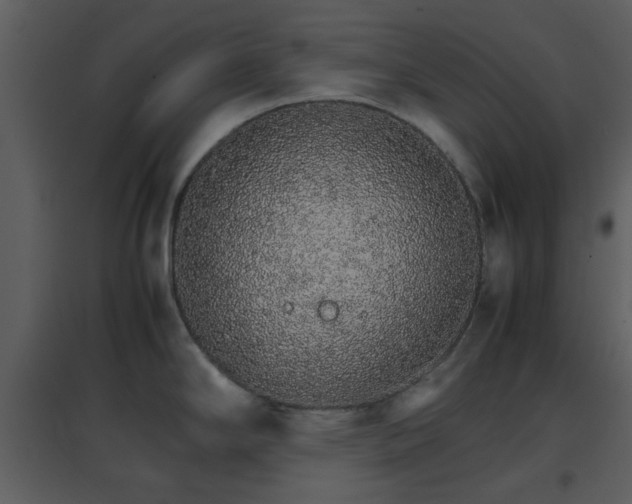 X0000096701294200802121154