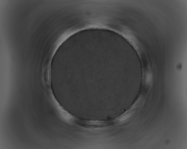 X0000096701295200802121154