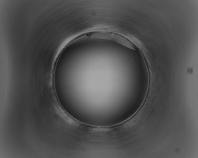 X0000096701296200802121154