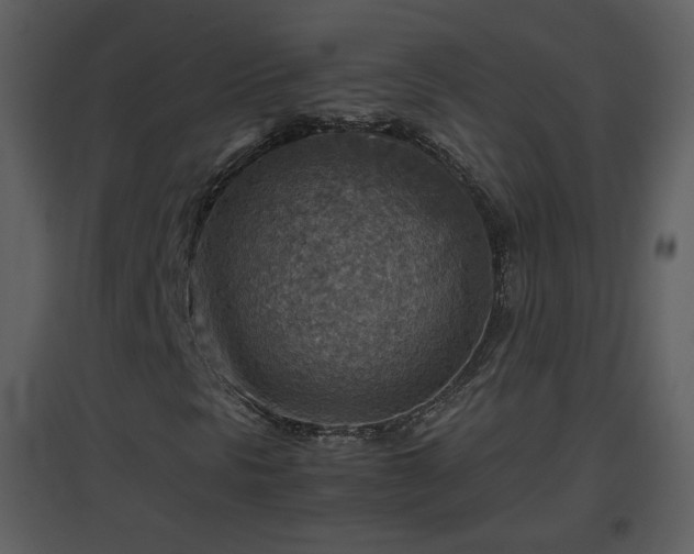 X0000096701297200802121153