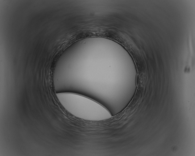 X0000096701298200802121153