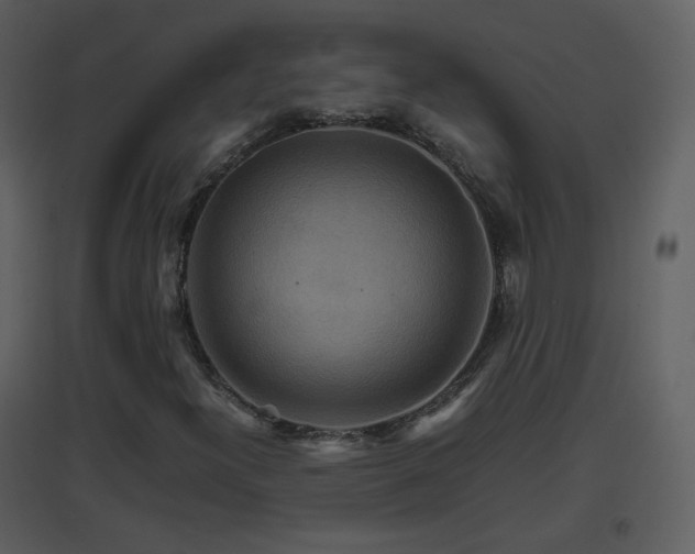 X0000096701300200802121153