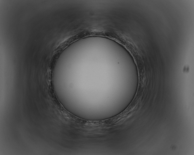 X0000096701301200802121153