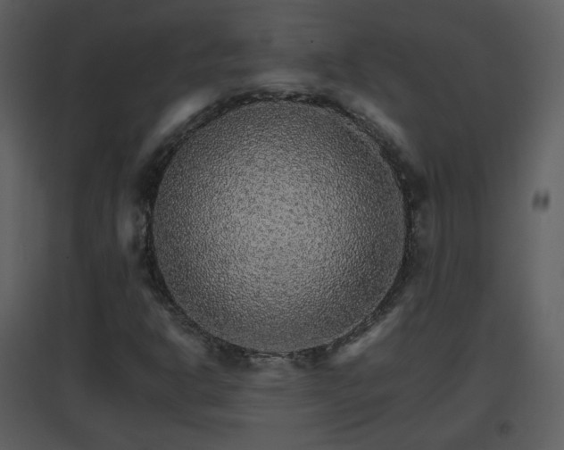 X0000096701302200802121153