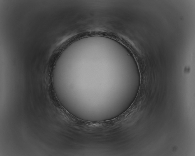 X0000096701303200802121153