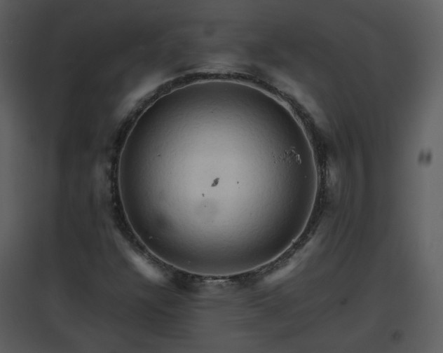 X0000096701304200802121153