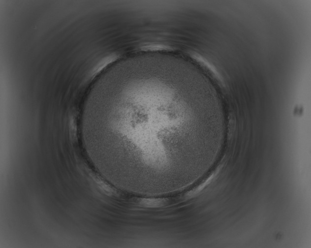 X0000096701305200802121153